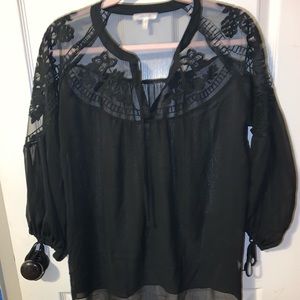 Maurices Shirts